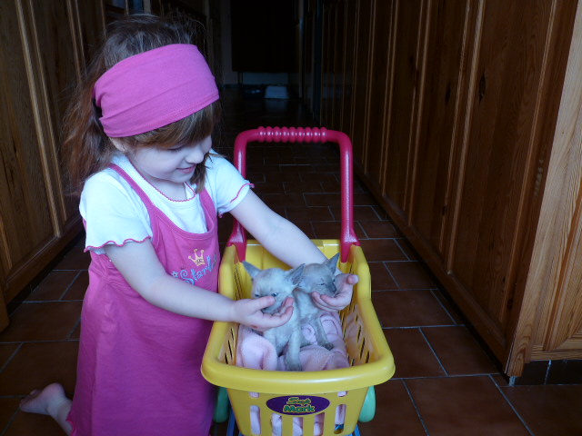 P1010721.JPG